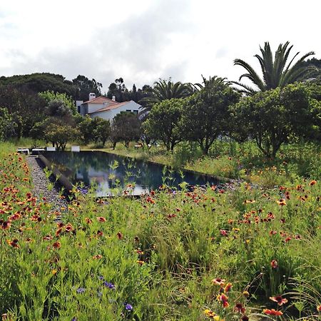 Quinta Do Miguel Villa Aldeia do Meco Exterior foto