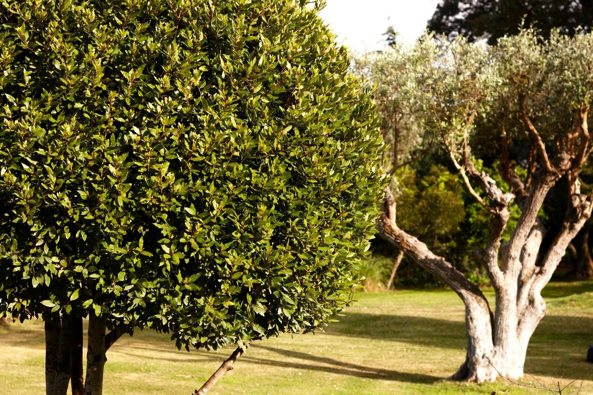 Quinta Do Miguel Villa Aldeia do Meco Exterior foto