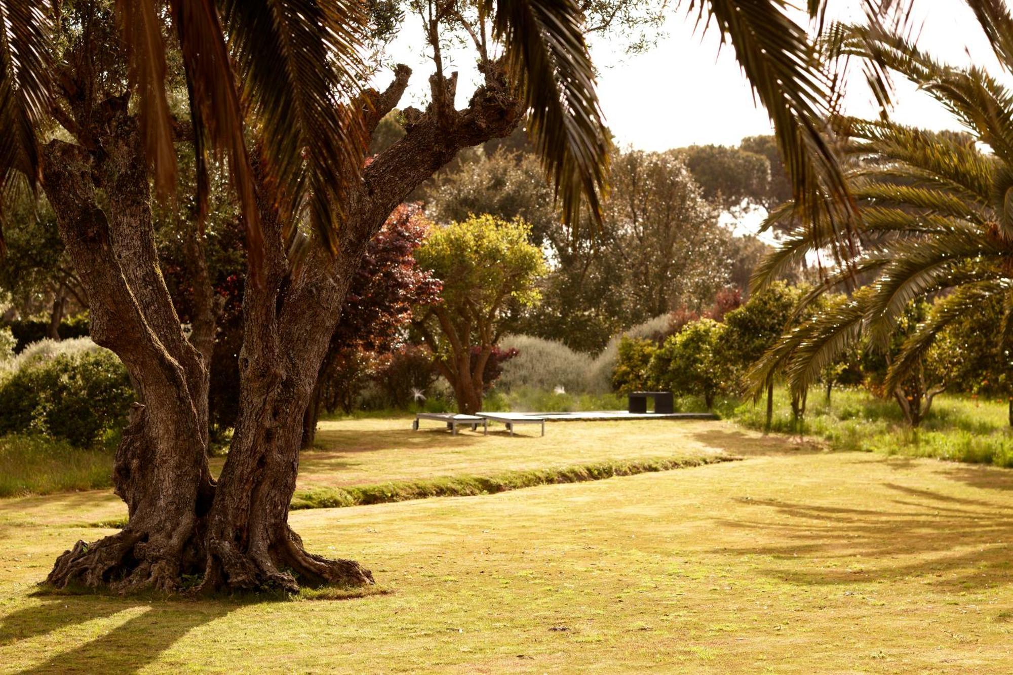 Quinta Do Miguel Villa Aldeia do Meco Exterior foto