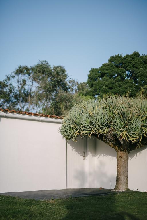 Quinta Do Miguel Villa Aldeia do Meco Exterior foto
